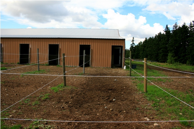 Outdoor run at High Point Equestrian Center